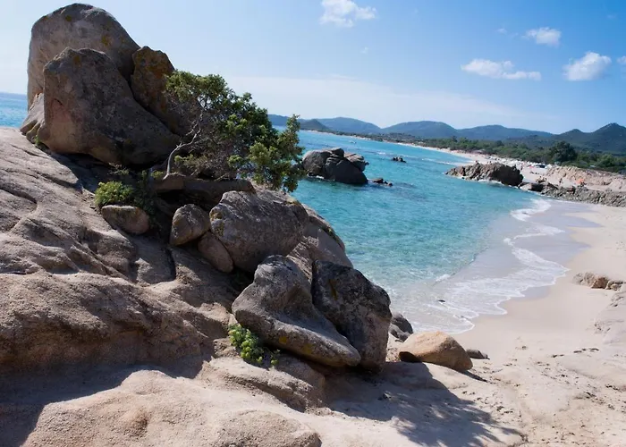 L'oasi Della Gatta Panciona By Interhome Apartment